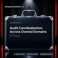 Audit Cannibalization Across Owned Domains