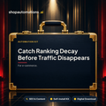 Catch Ranking Decay Before Traffic Disappears