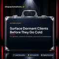 Surface Dormant Clients Before They Go Cold