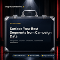 Surface Your Best Segments from Campaign Data