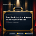 Turn Back-In-Stock Alerts into Recovered Sales