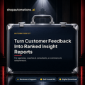 Turn Customer Feedback Into Ranked Insight Reports